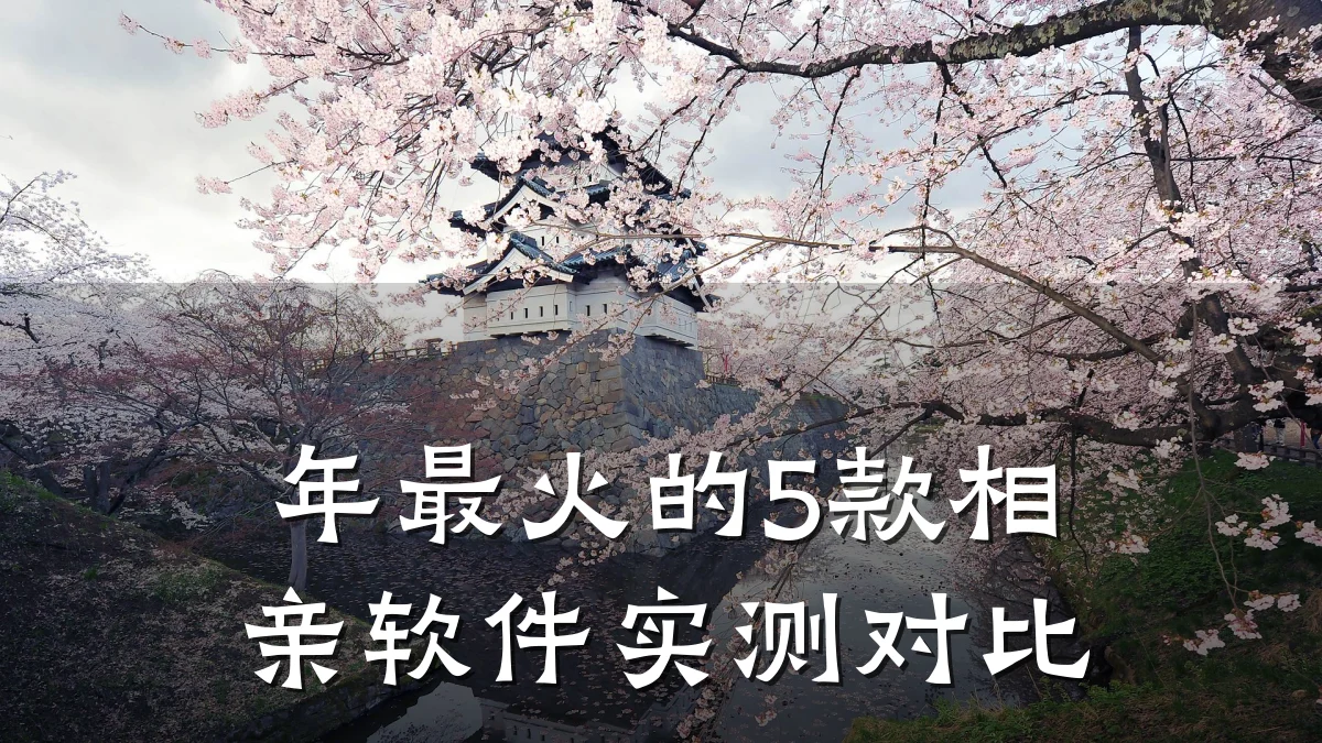 年最火的5款相亲软件实测对比