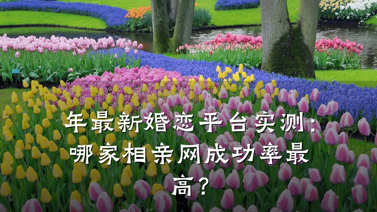 年最新婚恋平台实测:哪家相亲网成功率最高?