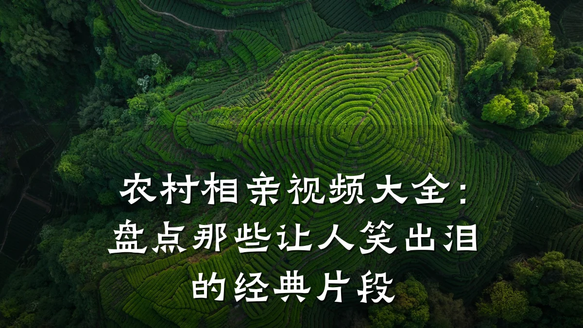 农村相亲视频大全:盘点那些让人笑出泪的经典片段