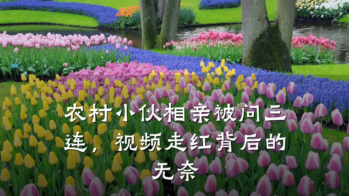 农村小伙相亲被问三连,视频走红背后的无奈