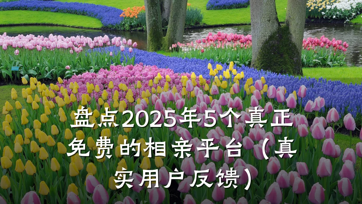 盘点2025年5个真正免费的相亲平台(真实用户反馈)