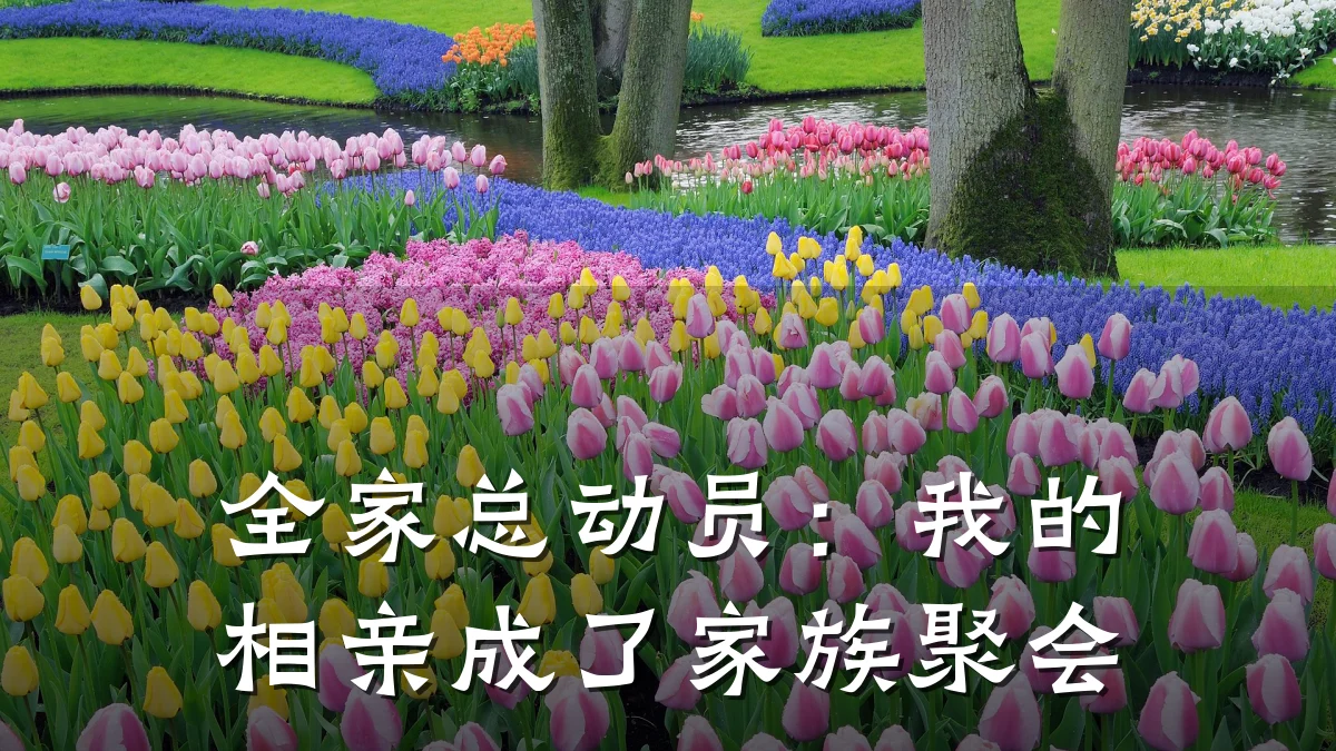 全家总动员:我的相亲成了家族聚会