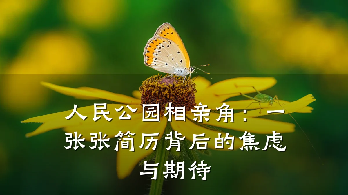 人民公园相亲角:一张张简历背后的焦虑与期待