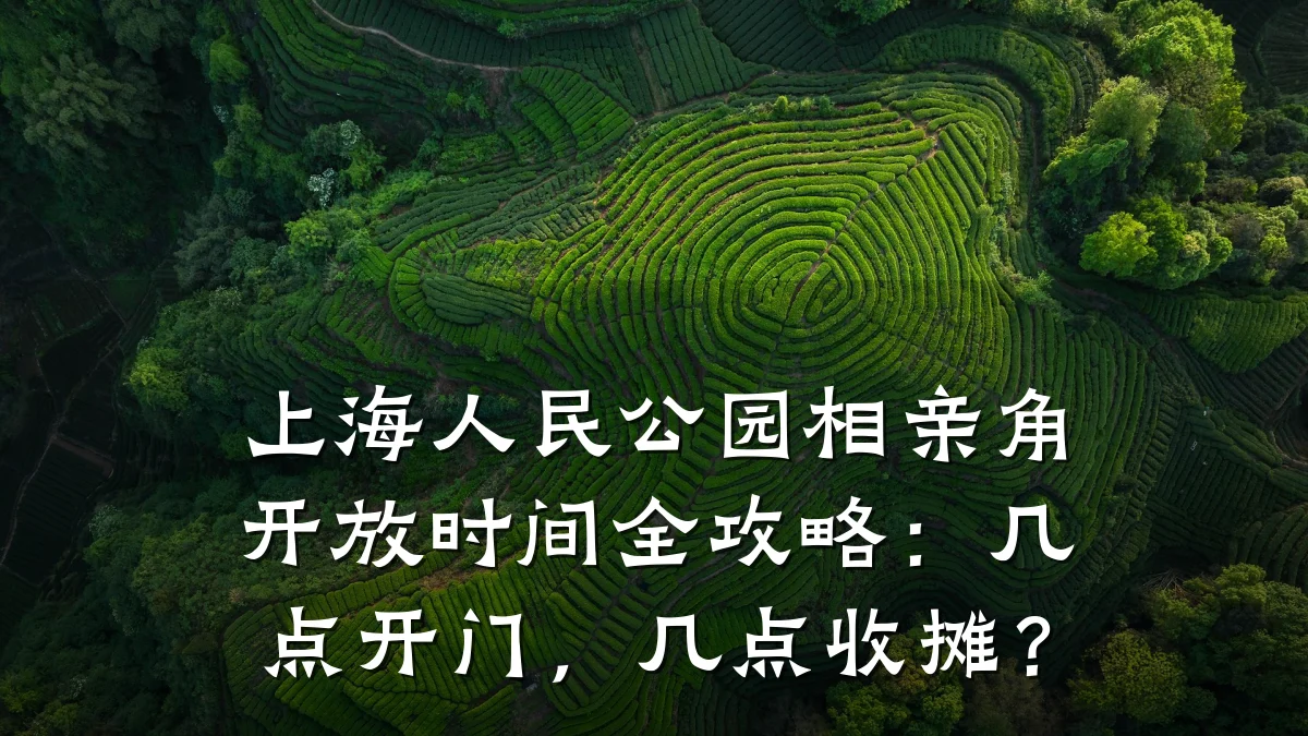 上海人民公园相亲角开放时间全攻略:几点开门,几点收摊?