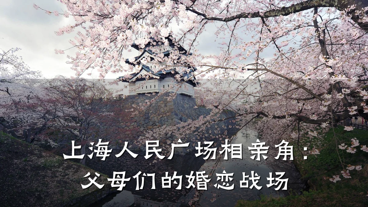 上海人民广场相亲角:父母们的婚恋战场