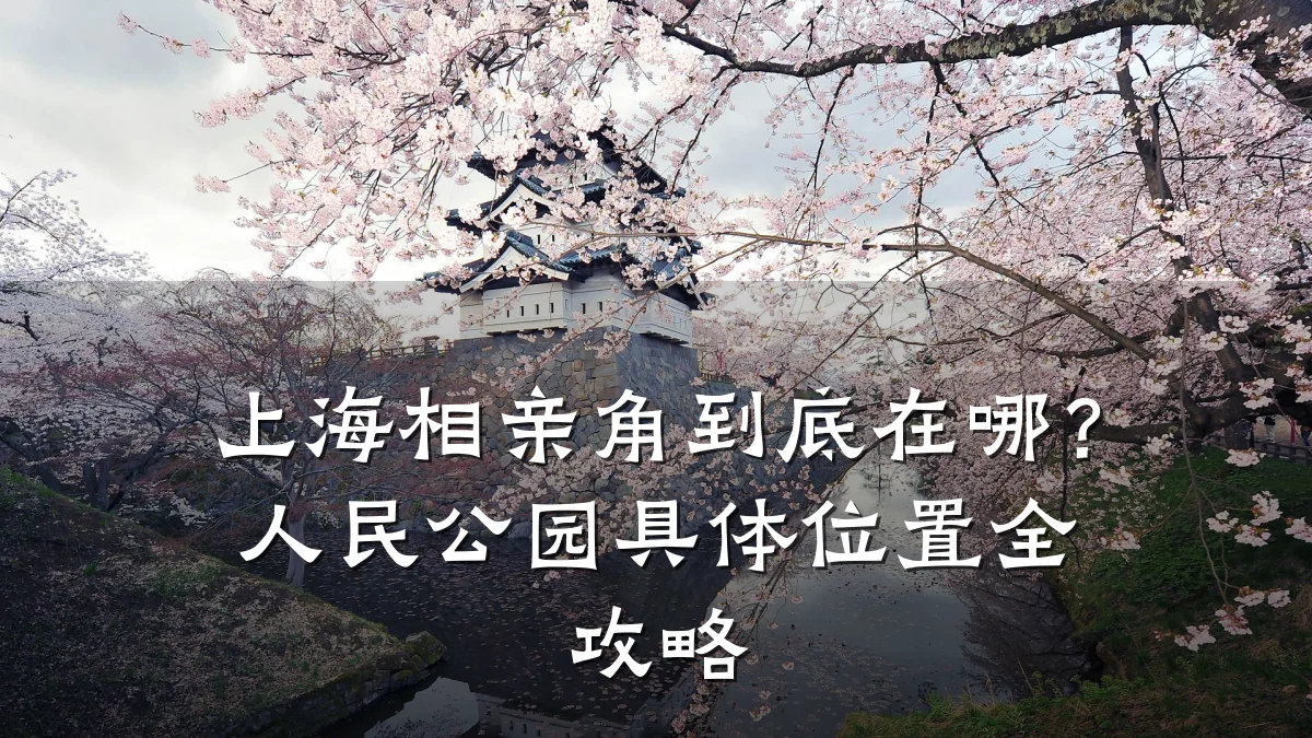 上海相亲角到底在哪?人民公园具体位置全攻略