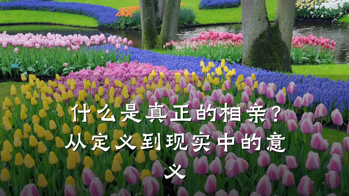什么是真正的相亲?从定义到现实中的意义