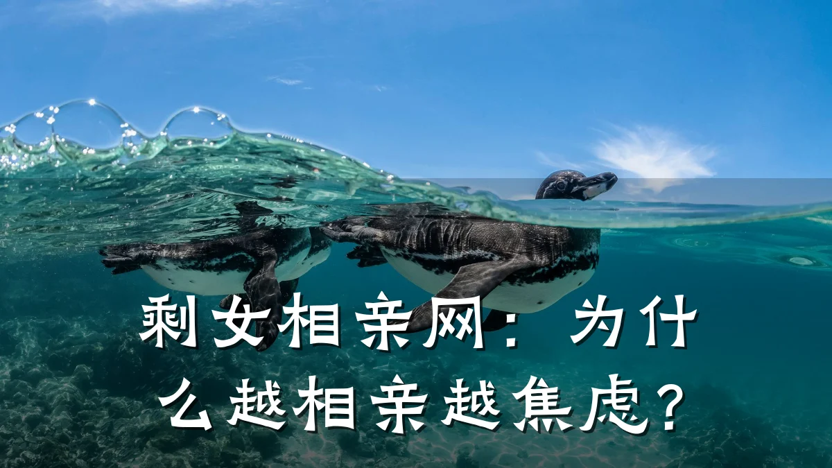 剩女相亲网:为什么越相亲越焦虑?