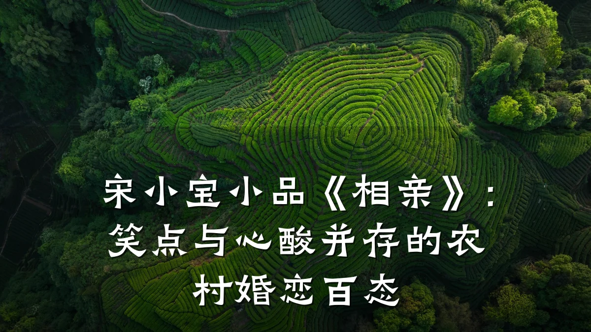宋小宝小品《相亲》:笑点与心酸并存的农村婚恋百态