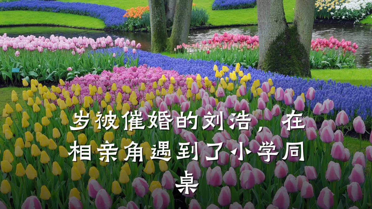 岁被催婚的刘浩,在相亲角遇到了小学同桌