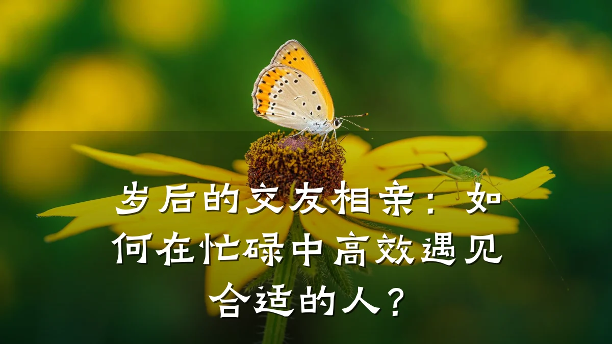 岁后的交友相亲：如何在忙碌中高效遇见合适的人？