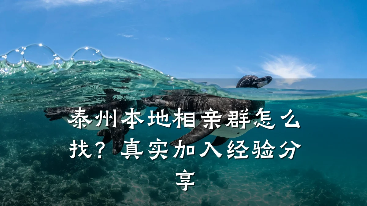 泰州本地相亲群怎么找?真实加入经验分享