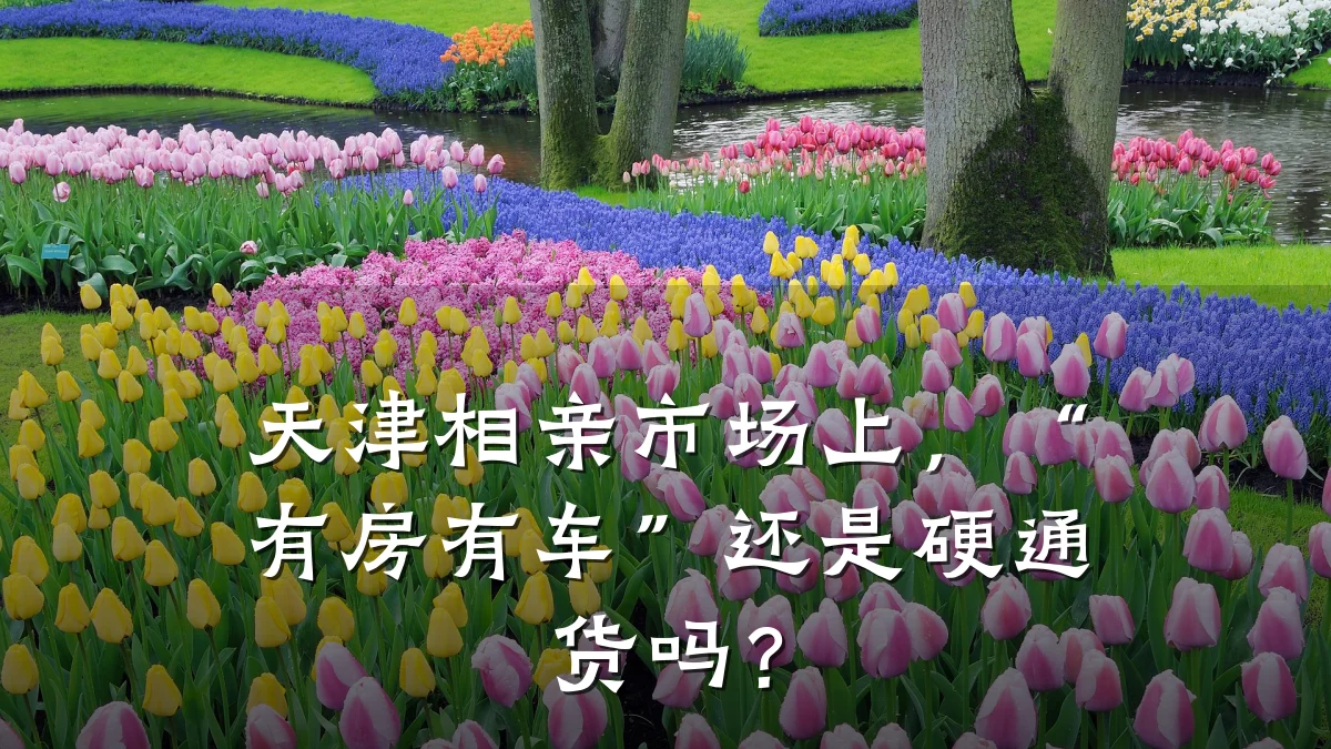 天津相亲市场上,“有房有车”还是硬通货吗?