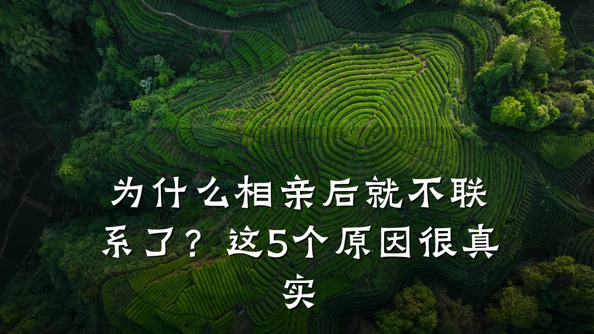 为什么相亲后就不联系了?这5个原因很真实