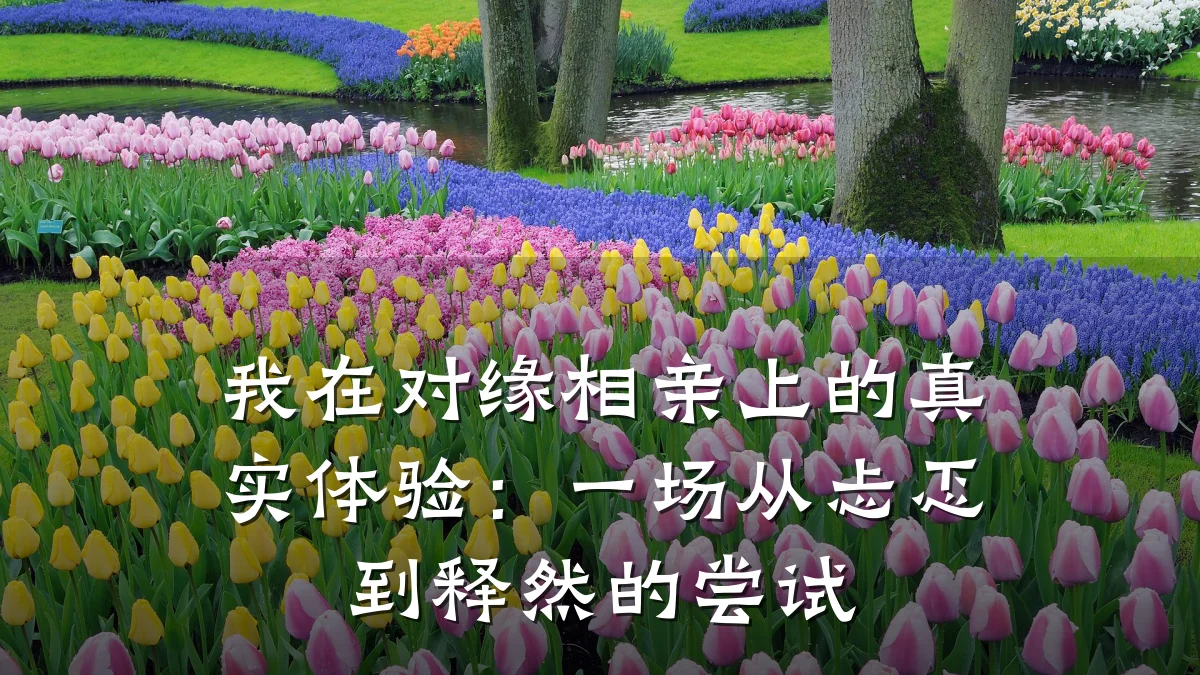 我在对缘相亲上的真实体验:一场从忐忑到释然的尝试