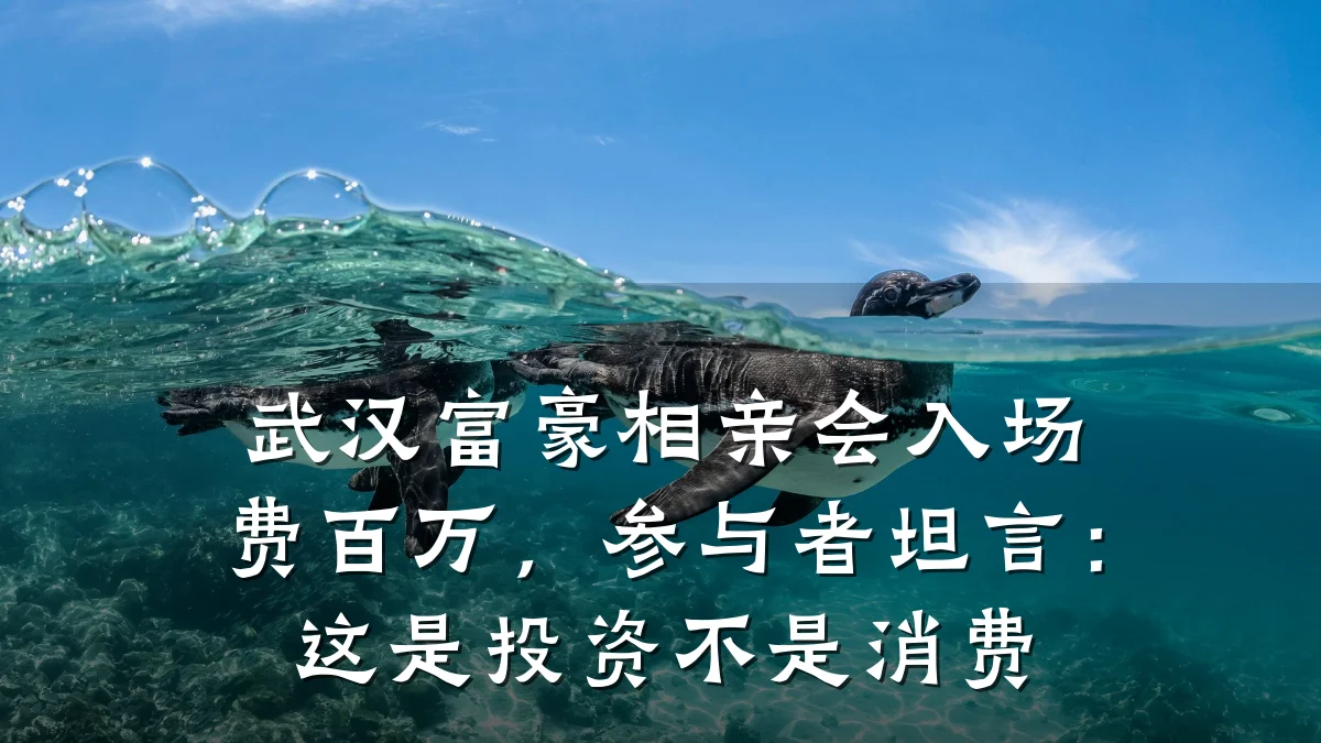 武汉富豪相亲会入场费百万，参与者坦言：这是投资不是消费