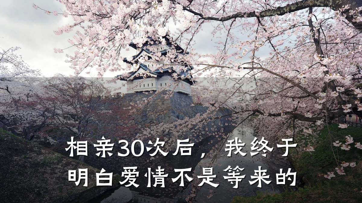 相亲30次后,我终于明白爱情不是等来的