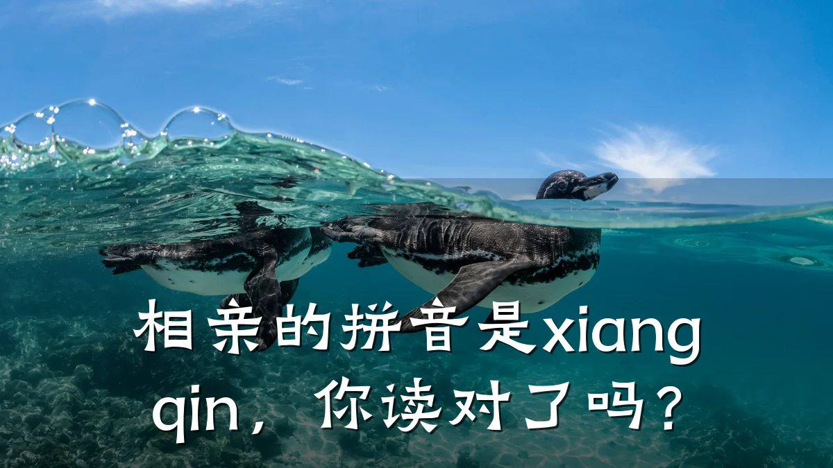 相亲的拼音是xiang qin,你读对了吗?