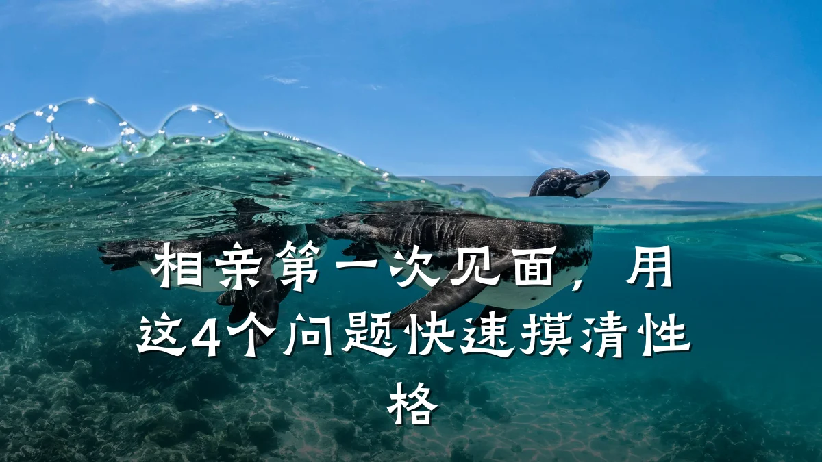 相亲第一次见面,用这4个问题快速摸清性格