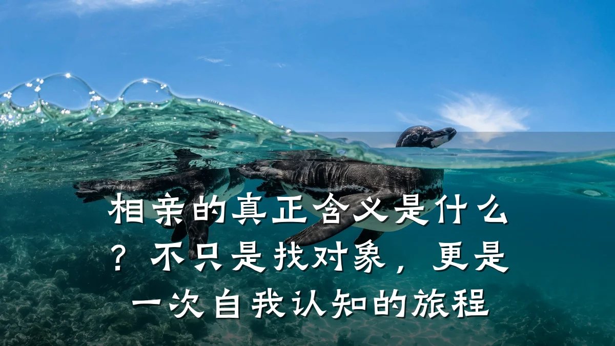 相亲的真正含义是什么?不只是找对象,更是一次自我认知的旅程