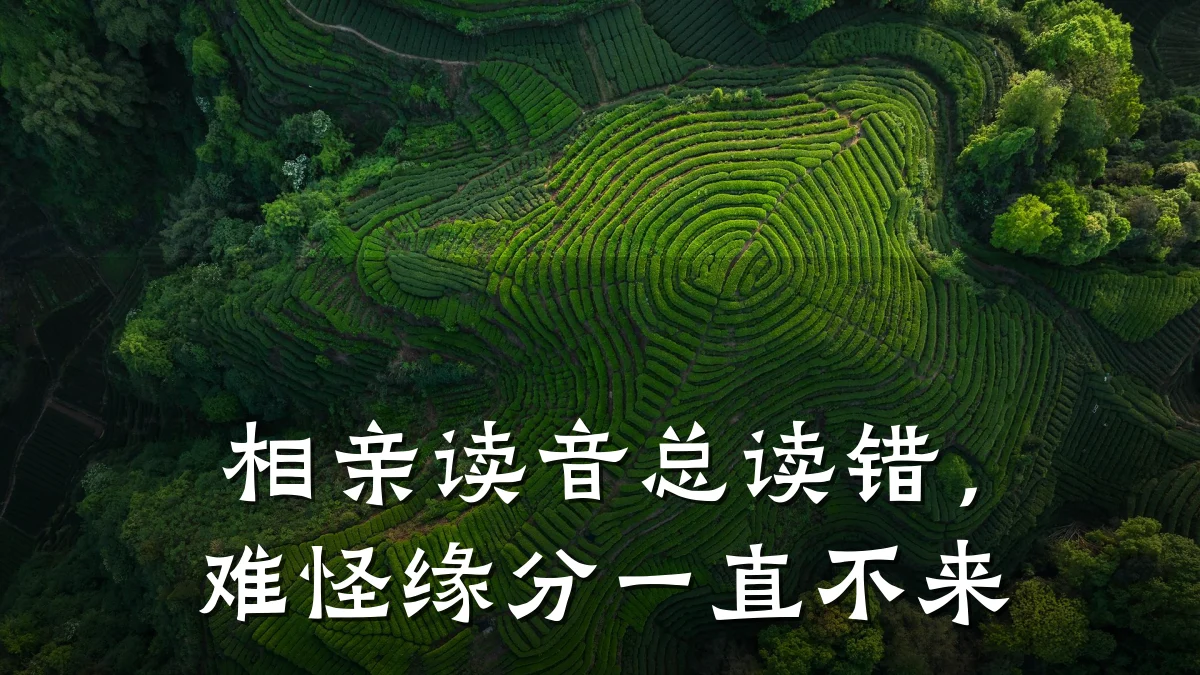 相亲读音总读错,难怪缘分一直不来
