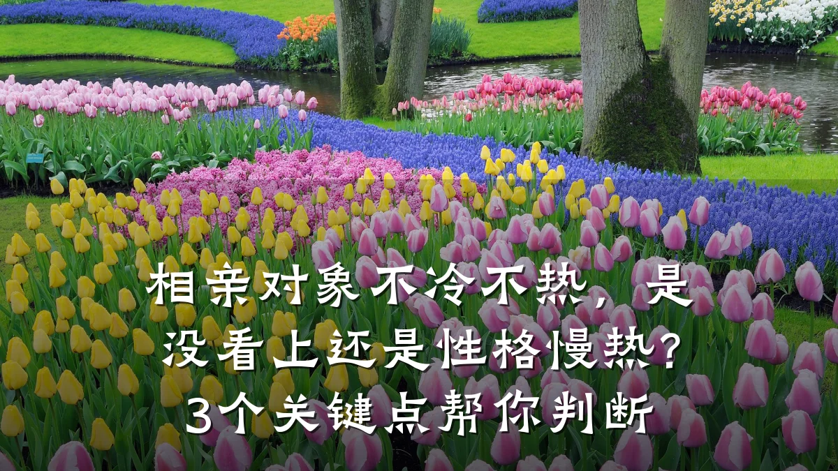 相亲对象不冷不热,是没看上还是性格慢热?3个关键点帮你判断