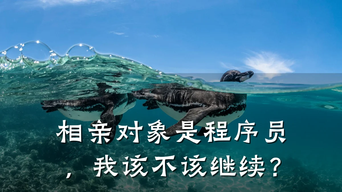 相亲对象是程序员,我该不该继续?