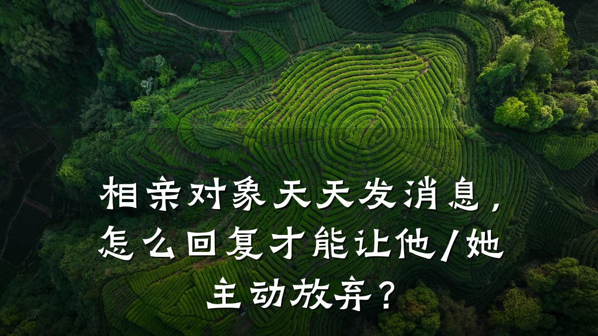相亲对象天天发消息,怎么回复才能让他/她主动放弃?