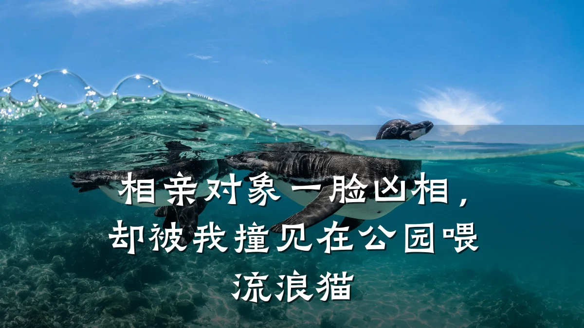 相亲对象一脸凶相,却被我撞见在公园喂流浪猫