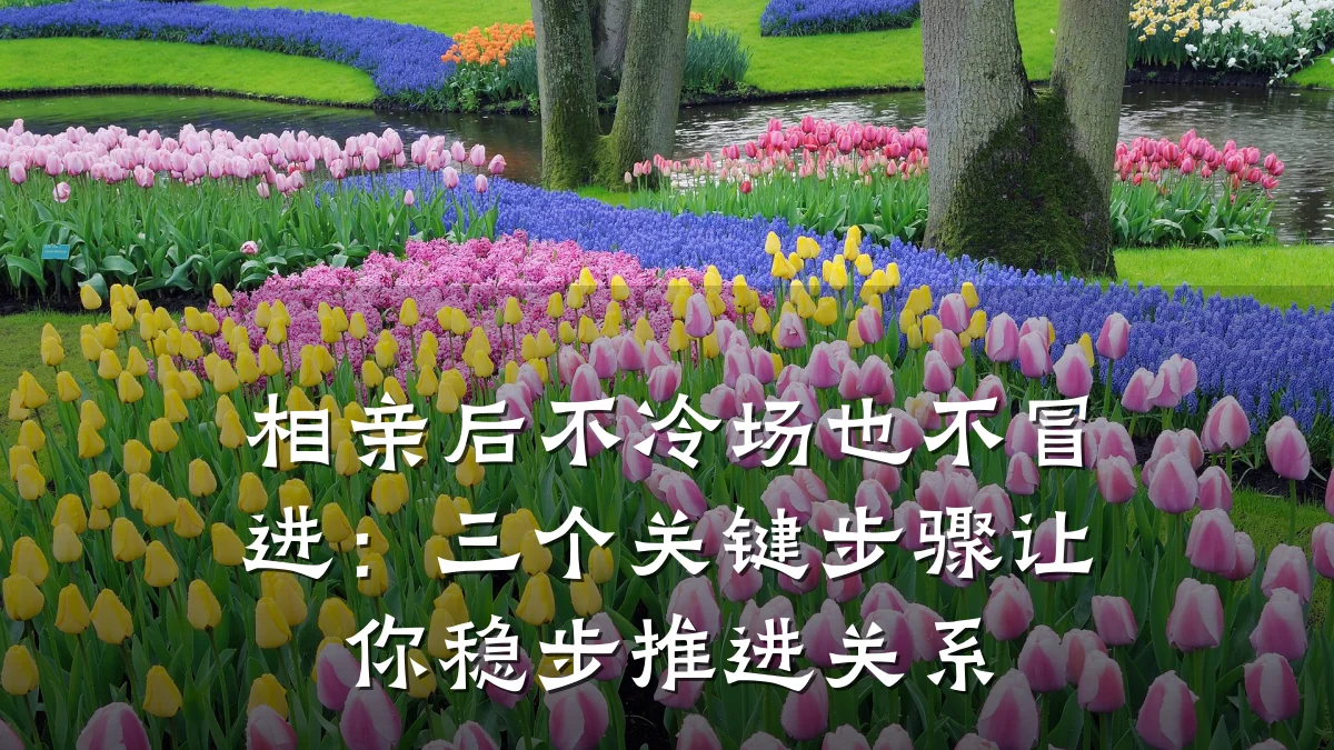相亲后不冷场也不冒进:三个关键步骤让你稳步推进关系