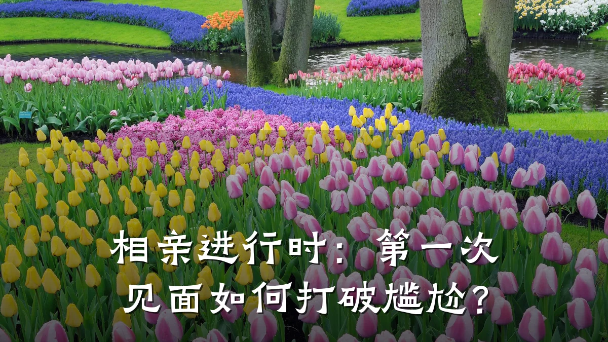 相亲进行时:第一次见面如何打破尴尬?