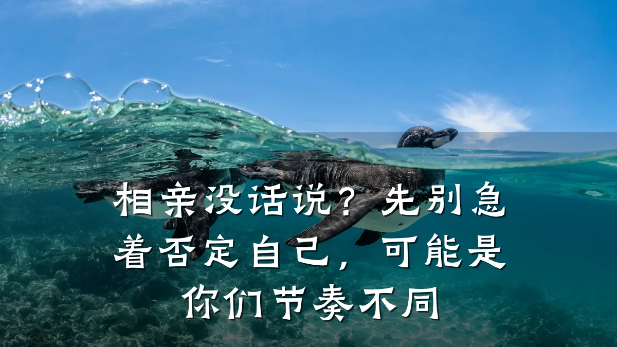相亲没话说?先别急着否定自己,可能是你们节奏不同