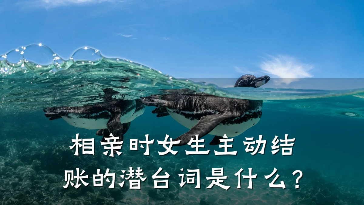 相亲时女生主动结账的潜台词是什么?