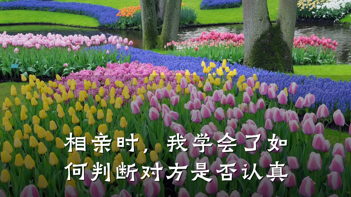 相亲时,我学会了如何判断对方是否认真