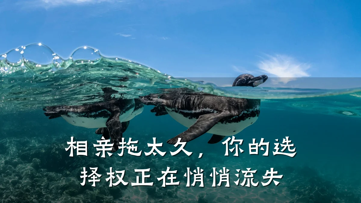 相亲拖太久,你的选择权正在悄悄流失