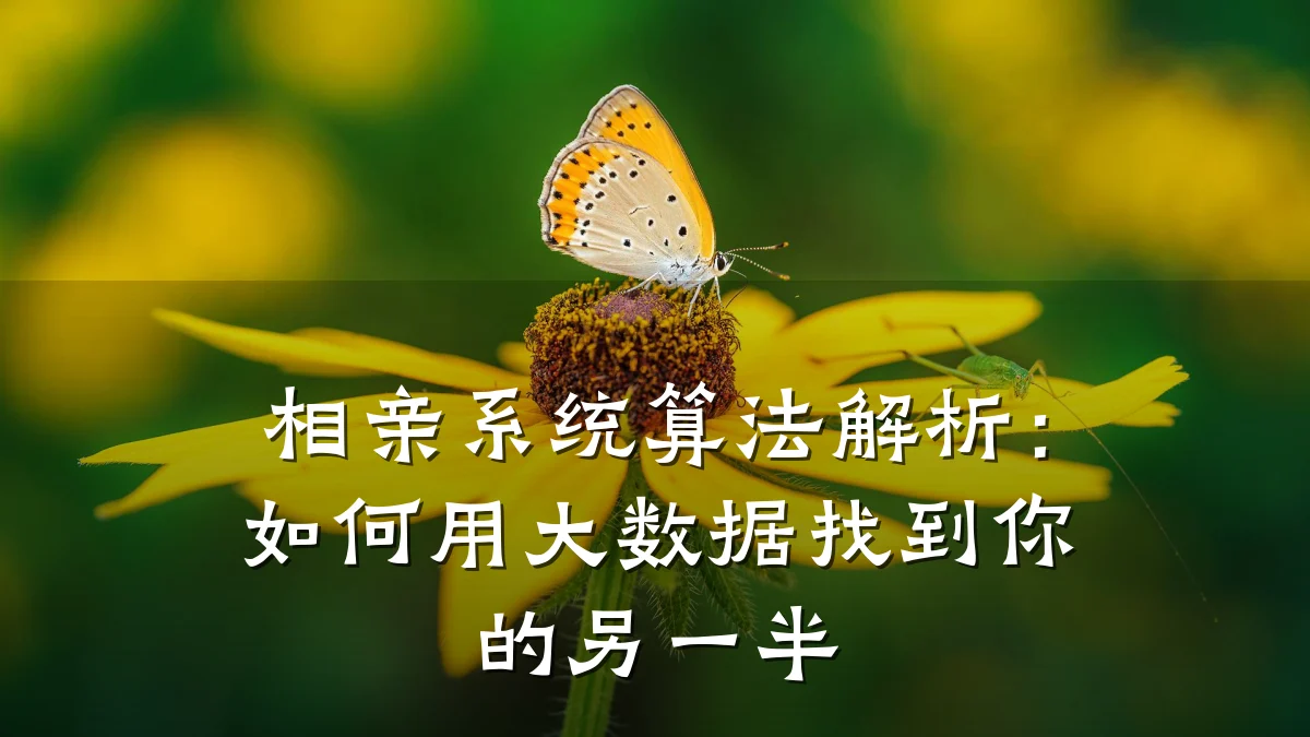 相亲系统算法解析:如何用大数据找到你的另一半