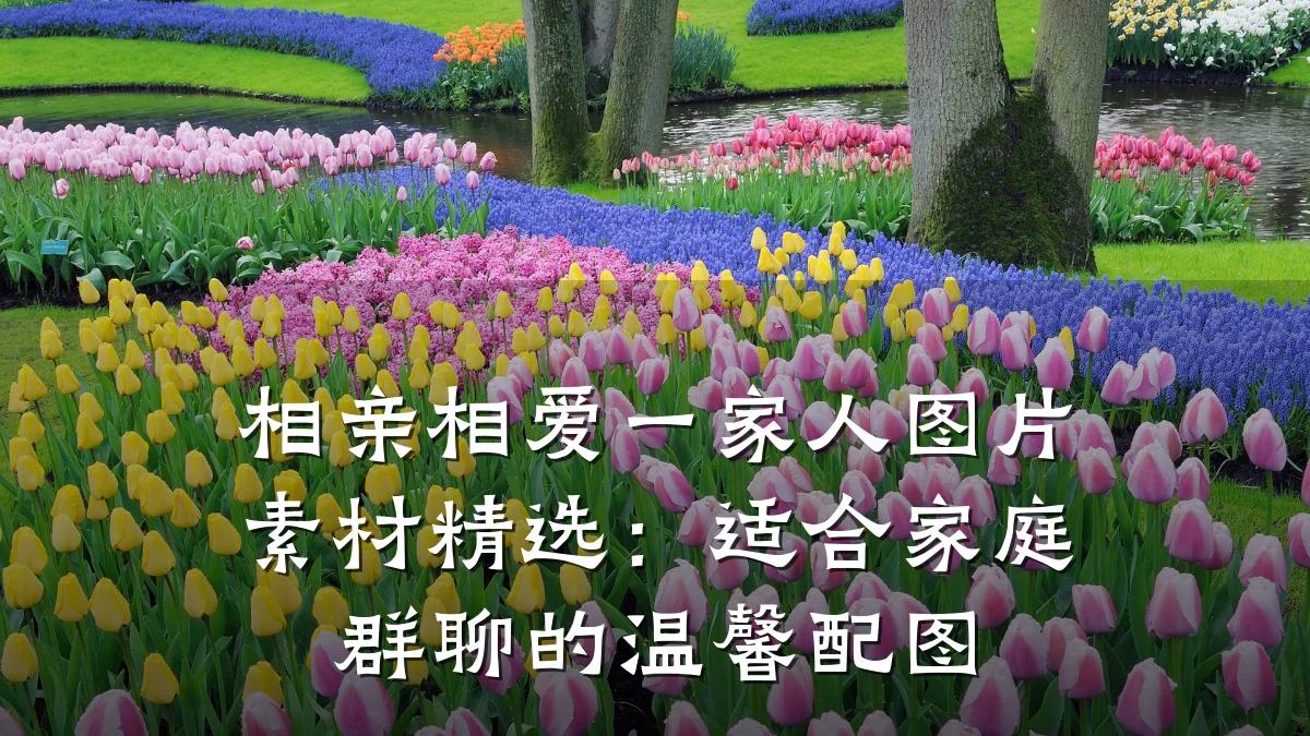 相亲相爱一家人图片素材精选:适合家庭群聊的温馨配图
