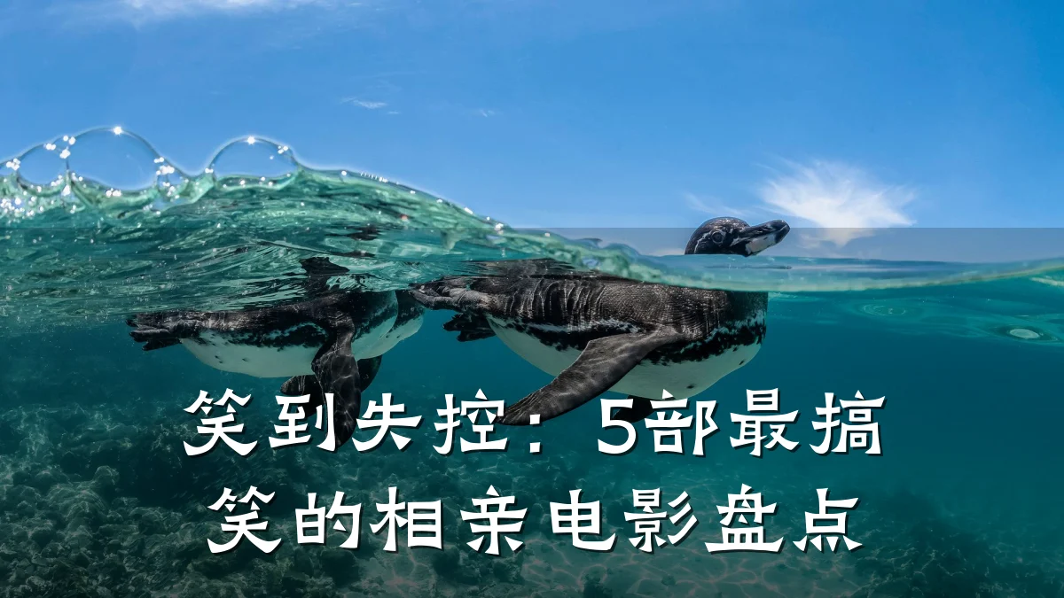 笑到失控:5部最搞笑的相亲电影盘点