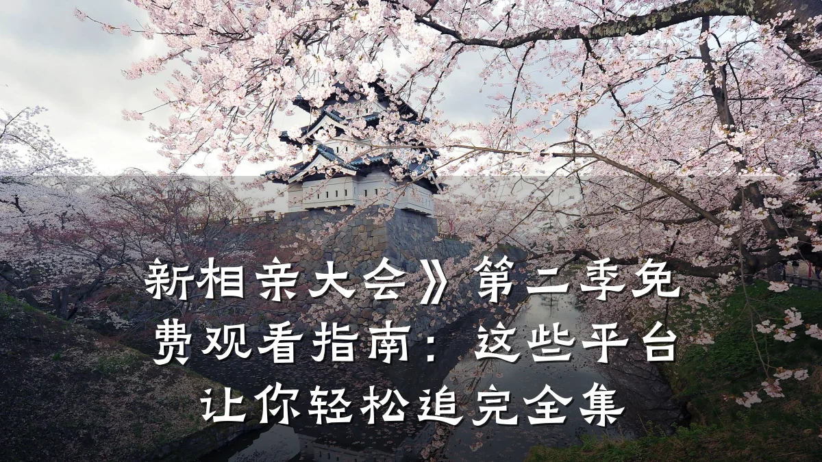 新相亲大会》第二季免费观看指南:这些平台让你轻松追完全集