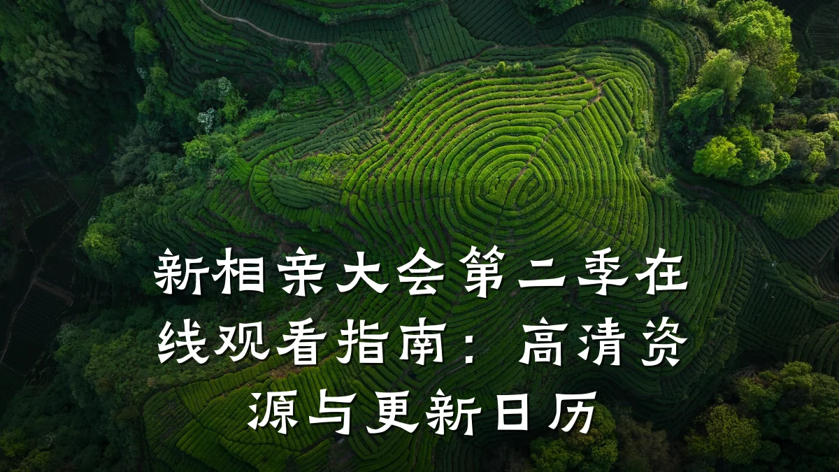 新相亲大会第二季在线观看指南:高清资源与更新日历