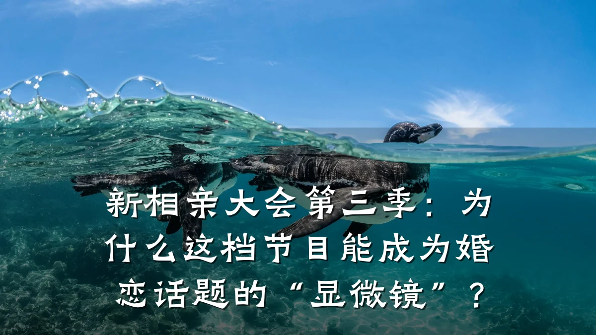 新相亲大会第三季:为什么这档节目能成为婚恋话题的“显微镜”?