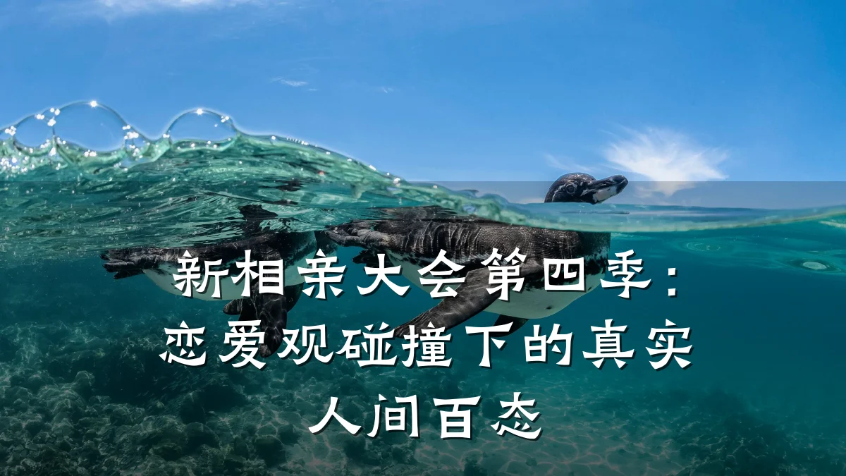 新相亲大会第四季:恋爱观碰撞下的真实人间百态