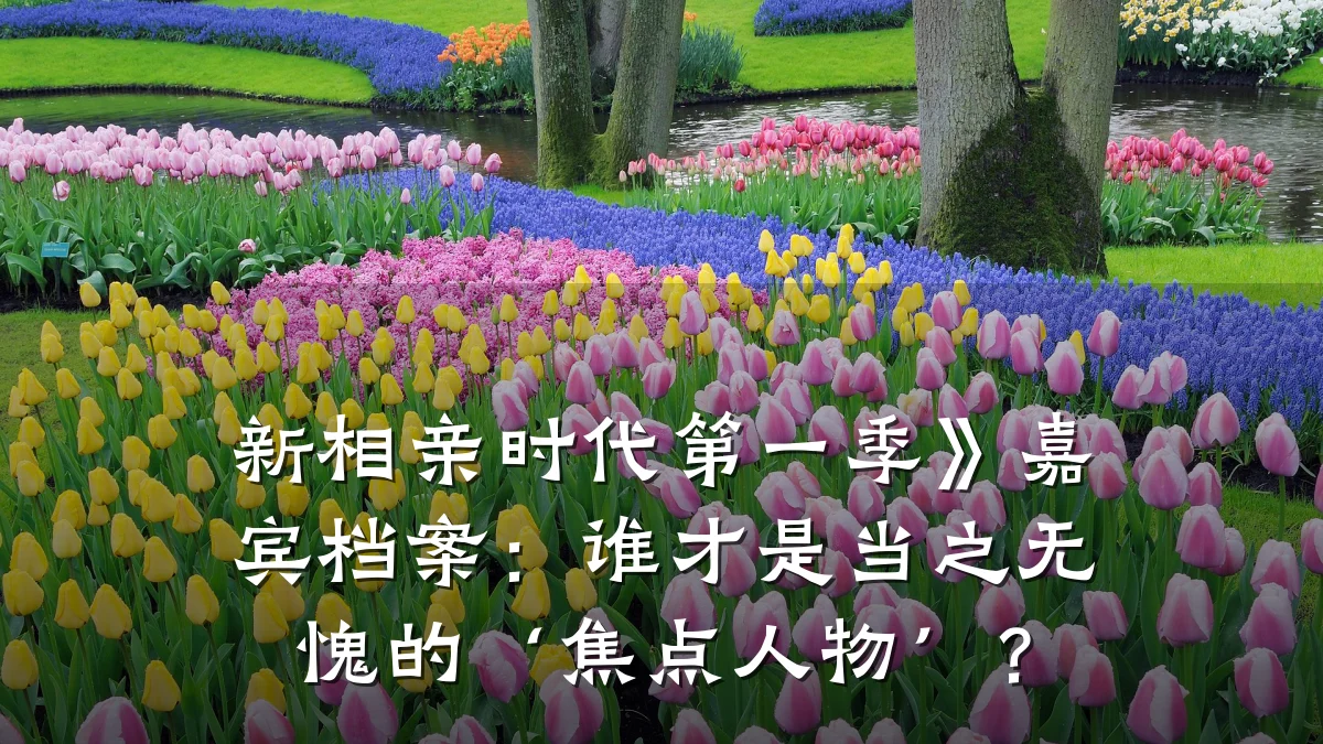 新相亲时代第一季》嘉宾档案:谁才是当之无愧的‘焦点人物’?