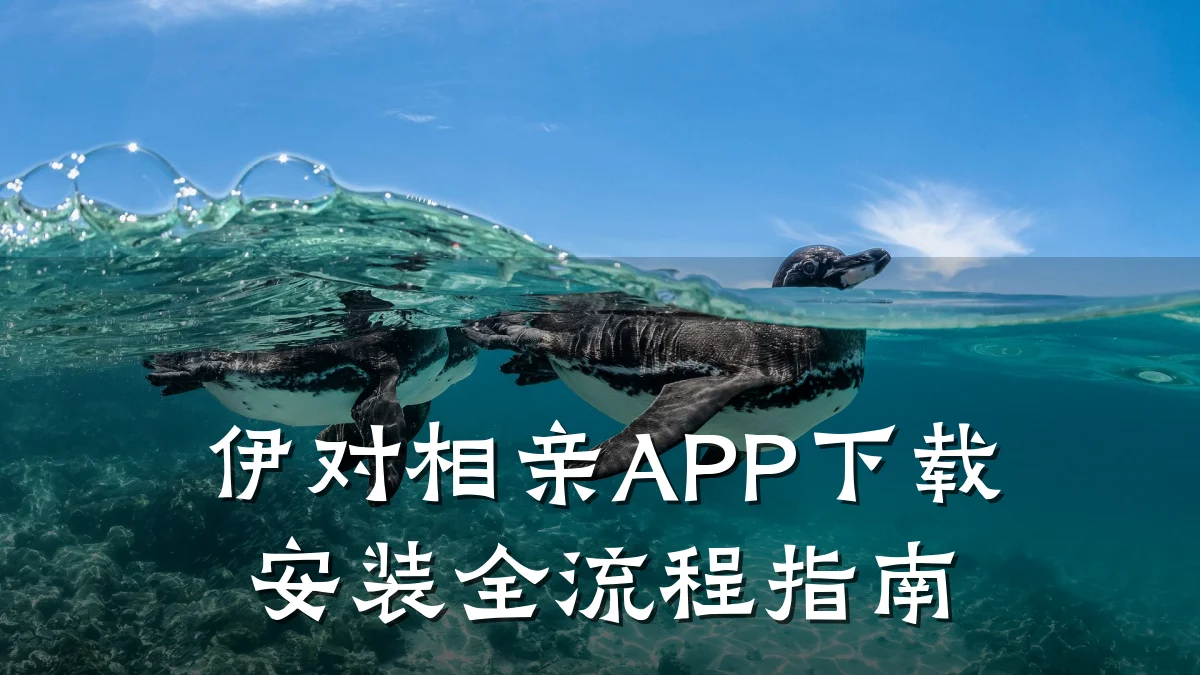 伊对相亲APP下载安装全流程指南