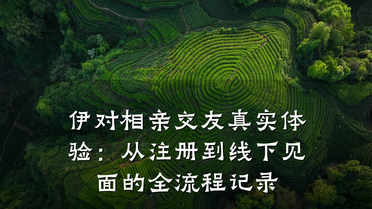 伊对相亲交友真实体验:从注册到线下见面的全流程记录