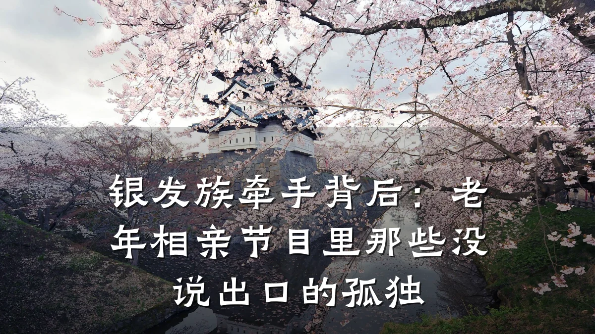 银发族牵手背后:老年相亲节目里那些没说出口的孤独