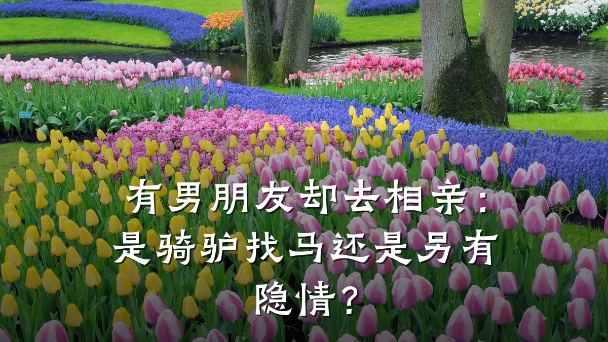 有男朋友却去相亲:是骑驴找马还是另有隐情?
