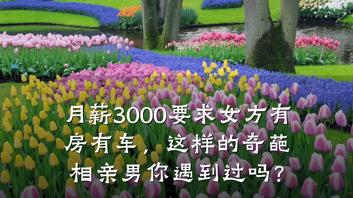 月薪3000要求女方有房有车,这样的奇葩相亲男你遇到过吗?