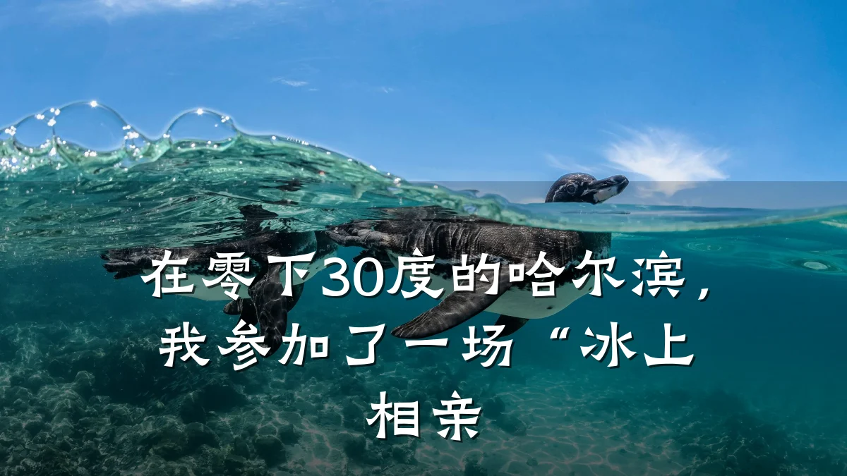 在零下30度的哈尔滨,我参加了一场“冰上相亲