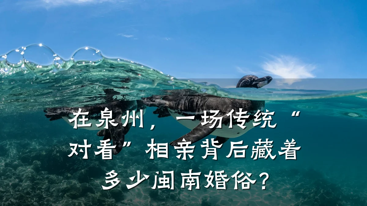 在泉州,一场传统“对看”相亲背后藏着多少闽南婚俗?